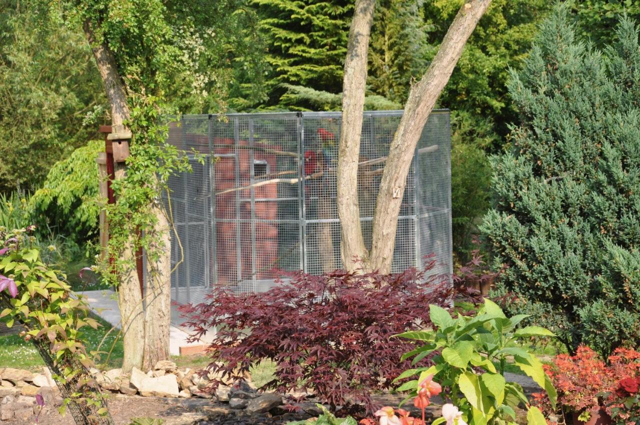 The Willows Bed & Breakfast ヨーク エクステリア 写真