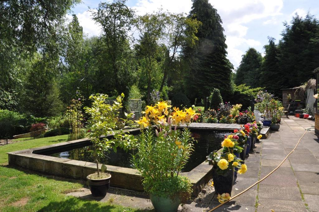 The Willows Bed & Breakfast ヨーク エクステリア 写真